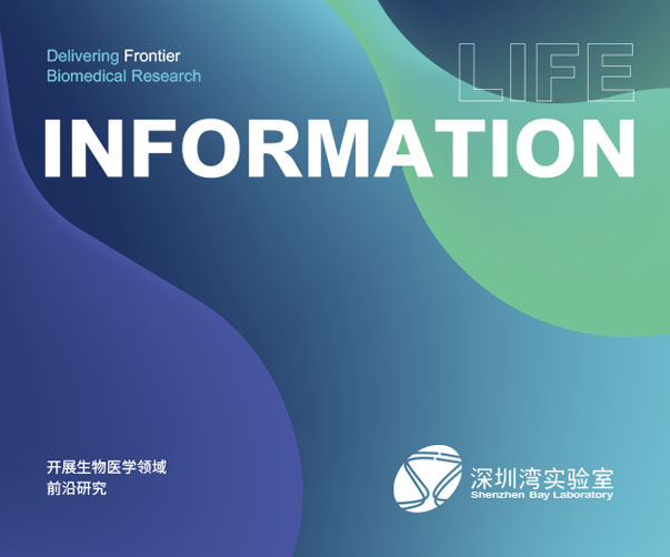 為什么說海爾logo和品牌是中國品牌的模范
