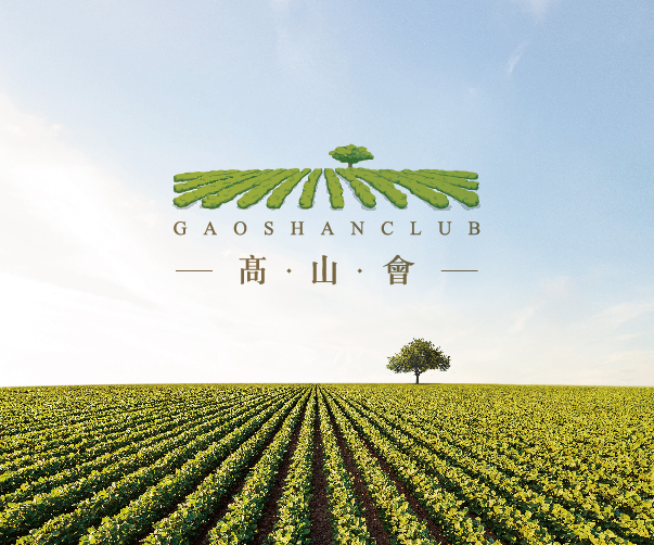瓷器VI設(shè)計中青花瓷花紋的獨特輔助魅力