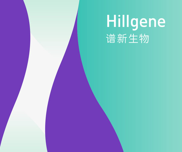 安防系統(tǒng)企業(yè)VI設(shè)計：打造可靠安全的視覺風格
